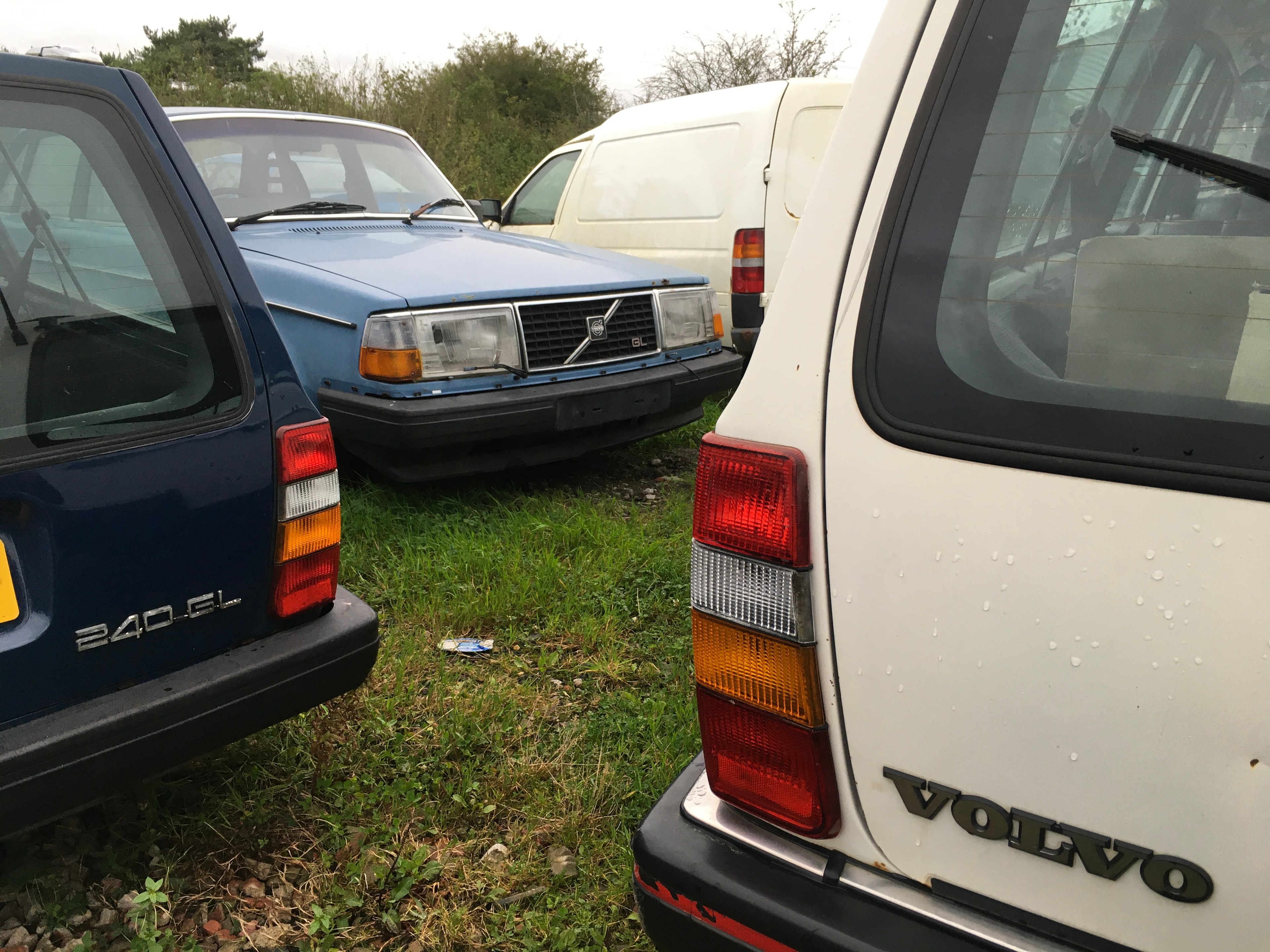 Classic car enthusiast community event